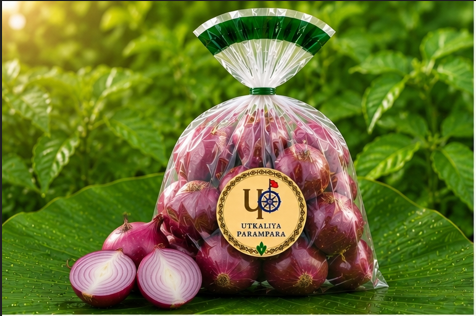 प्याज/ ପିଆଜ/ Onion