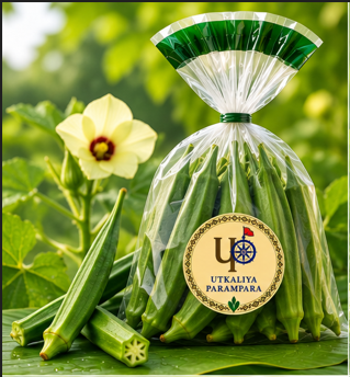 भिंडी, ଭେଣ୍ଡି,Okra
