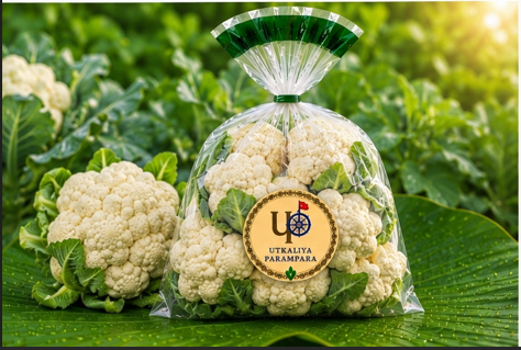 फूलगोभी / ଫୁଲକୋବି/ Cauliflower