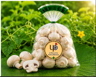 बटन मशरूम / ଛତୁ / Button Mushroom