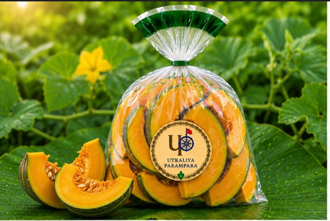 कद्दू / କଖାରୁ / Pumpkin
