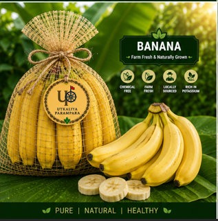 केला / କଦଳୀ / Banana
