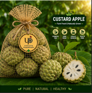 सीताफल / ଆତ / Custard apple
