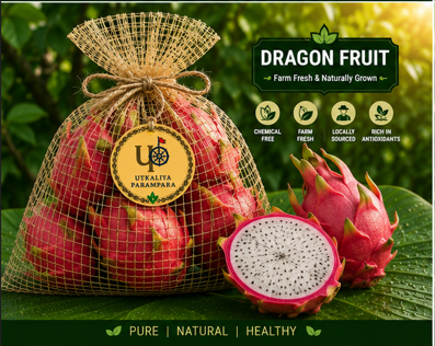 Dragon Fruit