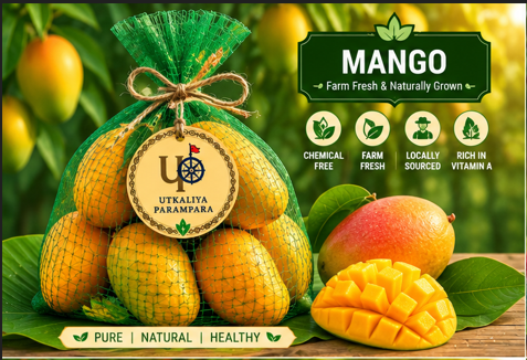 आम / ଆମ୍ବ / Mango