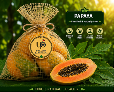 पका पपीता / ପାଚିଲା ଅମୃତଭଣ୍ଡା / Ripen Papaya